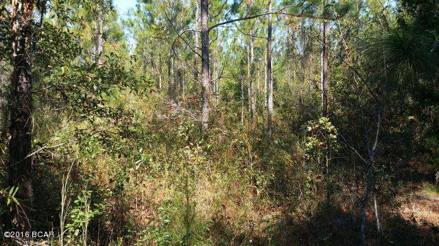 No Named Subdivision - Land