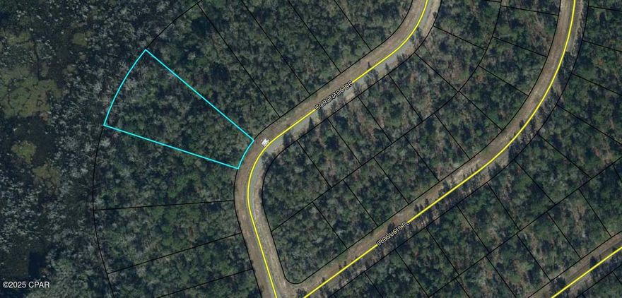 Explore the potential of this vacant land located in the heart of Sunny Hills, Chipley, FL. Nestled in a growing community, this property offers a versatile opportunity to bring your vision to life. Whether you're considering a future homesite, an investment, or something entirely unique, this parcel provides a blank canvas to make it happen. Enjoy the quiet surroundings and convenient access to nearby amenities, outdoor activities, and major roadways. Don't miss the chance to own a piece of Sunny Hills - your possibilities await!