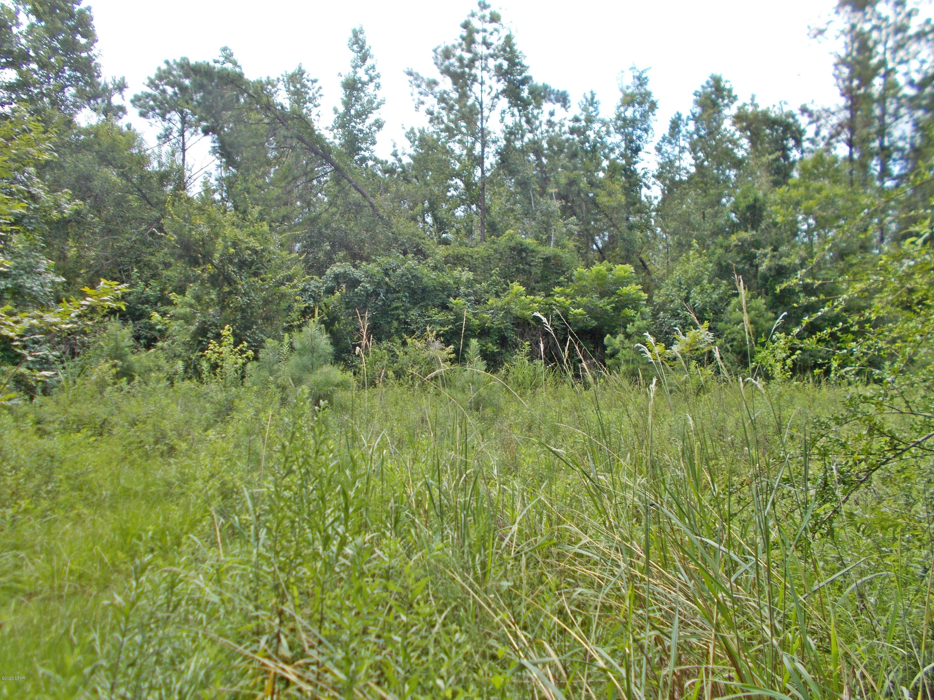 Other - Land