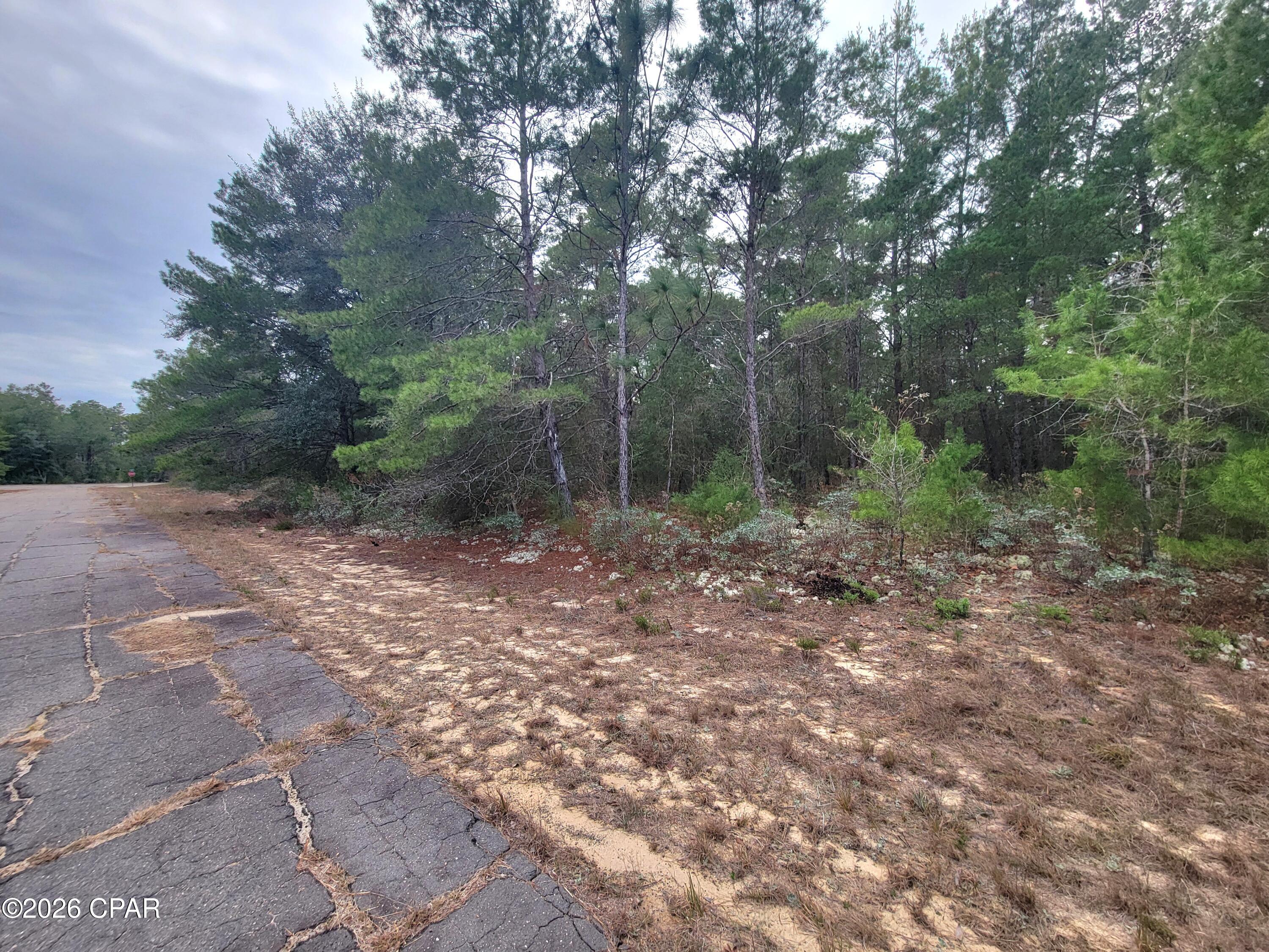 Sunny Hills Unit 1 - Land