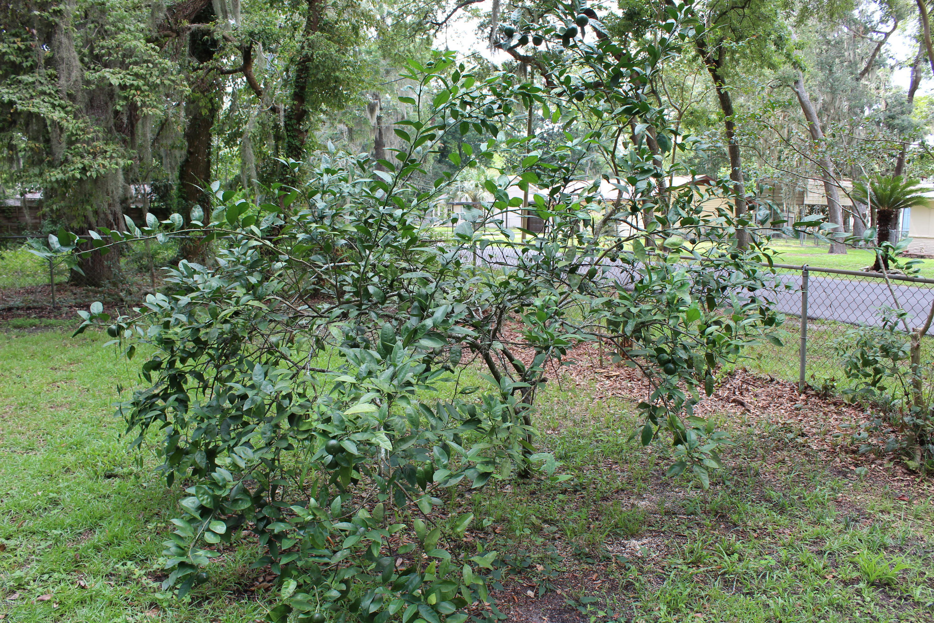 Black Oak Ridge - Residential Lease