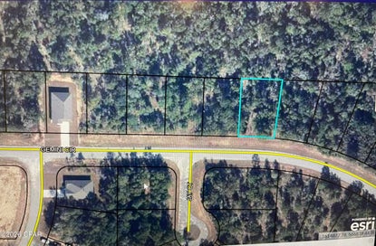 Lot 10 &11 Gemini Circle Chipley FL 32428