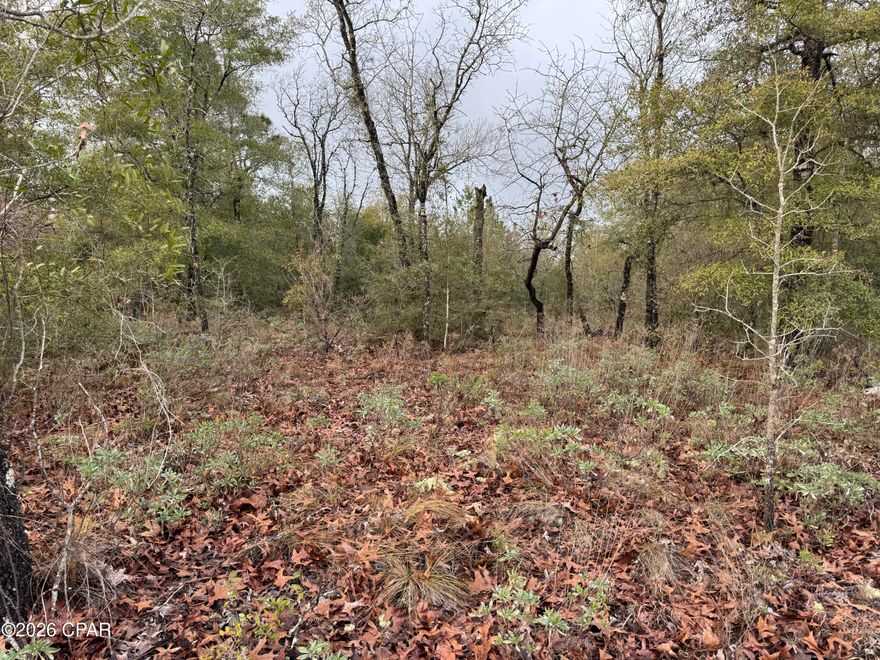 Discover the perfect opportunity on Cavalier Drive in Sunny Hills! This quarter-acre lot is ideally located just a short distance from the Sunny Hills Golf & Country Club, offering a prime setting for your future home or investment. Ride your golf cart to the golf course!! With a peaceful neighborhood and easy access to outdoor recreation, this lot is ready for you to build your dream lifestyle in the heart of Sunny Hills!