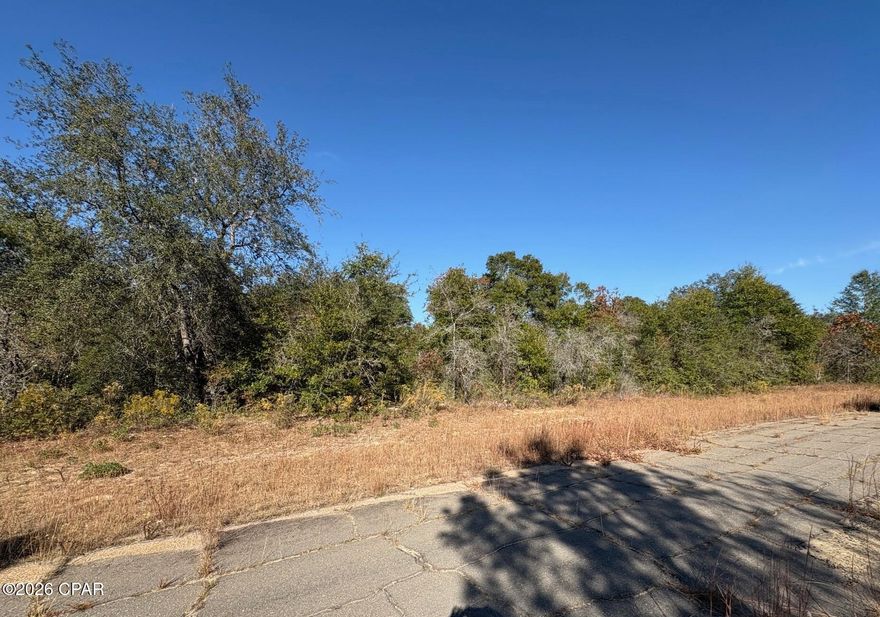 Attention all INVESTORS and DEVELOPERS...Excellent opportunity to own a .249-acre flat and level building lot in Unit 11 of Sunny Hills, located at Lot 38 on Hunter Cir (AKA Hunter Creek on mapping). Priced right for a quick sale! Additionally, Lot 39, a corner lot next door is also available from the same seller at the same price, providing a rare opportunity to secure side by side lots for added space, flexibility, or future development options. Sunny Hills continues to attract buyers due to its convenient access to Highway 77, with Chipley to the north and Panama City and the Gulf Coast beaches to the south. If you're looking for a competitively priced investment in a booming Northwest Florida community, this lot deserves your attention.