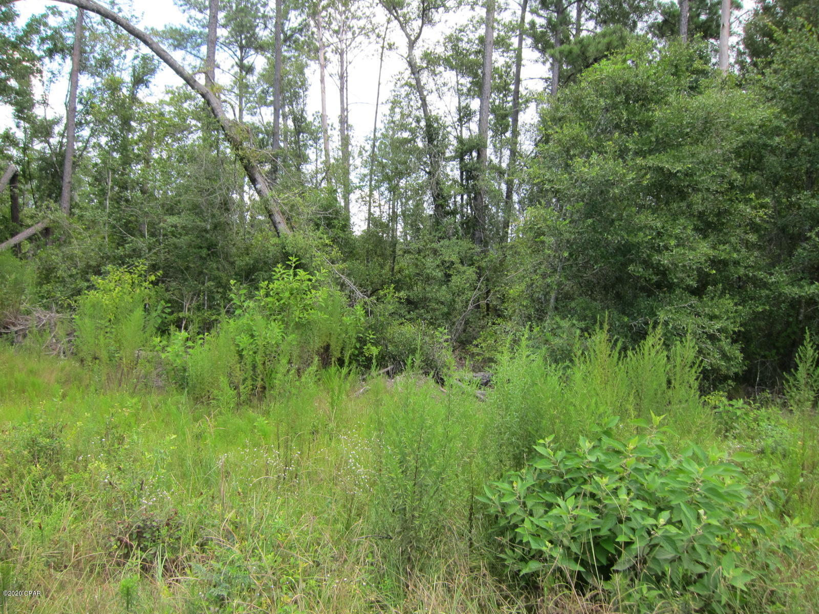 [No Recorded Subdiv] - Land