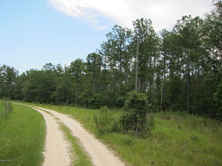 Very nice land for country living. Hunting and very Quite, Build to suite