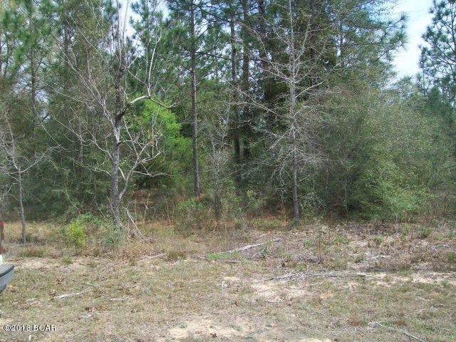 Sunny Hills Unit 1 - Land