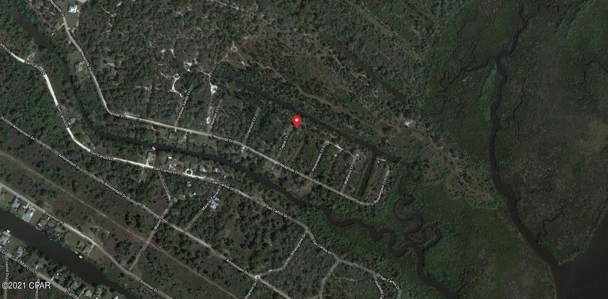 Private setting with this .24 +/- lot near the Peace River in Harbor Heights, a non-deed restricted community. Lot is a short distance from the community park with public boat ramps, fishing, and tennis courts, and covered picnic areas. Currently zoned conservation land per deed. This lot cannot be built on, contact for copy of the deed. Property is NOT within a Scrub Jay review area per USF&W Service. Buyers to confirm all​​‌​​​​‌​‌​​​​‌​​‌​​​​‌‌ info.