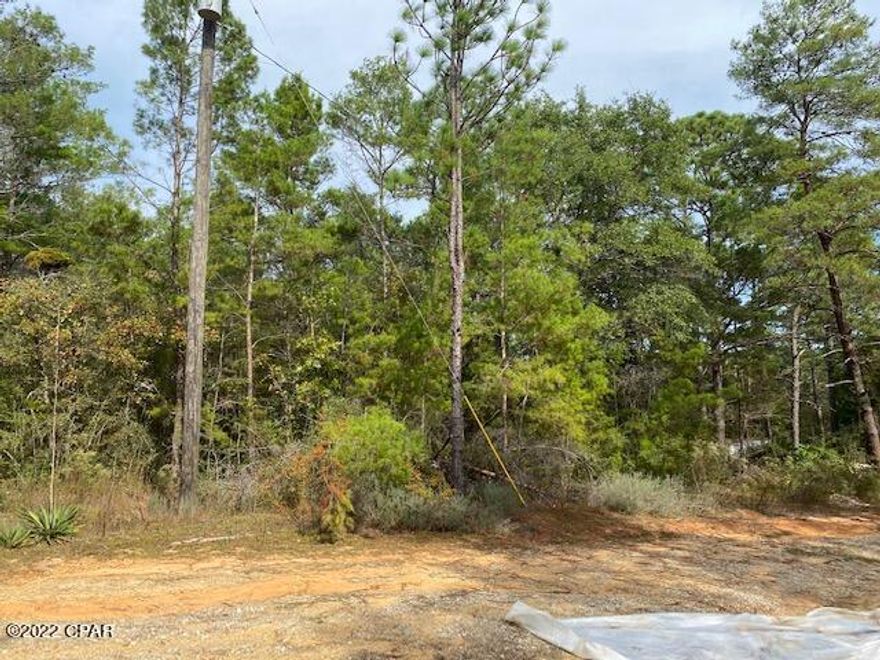 This is level lot on a dirt road. Would need septic, electric and a well for water.  Trees and scrubs are on property. This property would be perfect for a home or trailer.  Located half way between DeFuniak Springs and Crestview, FL.  I10 exit is close by.