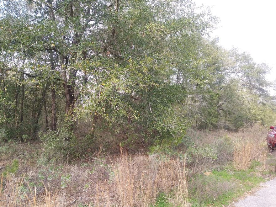 Great waterfront lot near Washington Correctional Institution!  Build your dream retirement home on this spacious, wooded waterfront lot!  [See covenants which include building restrictions in document section.]