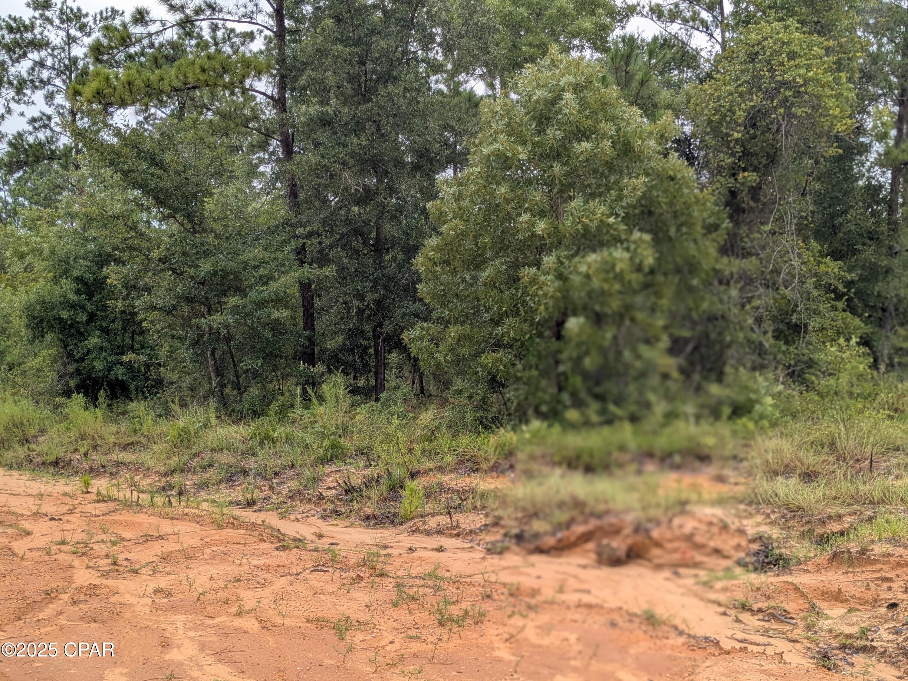 Compass Lake Hills Unit 5 - Land