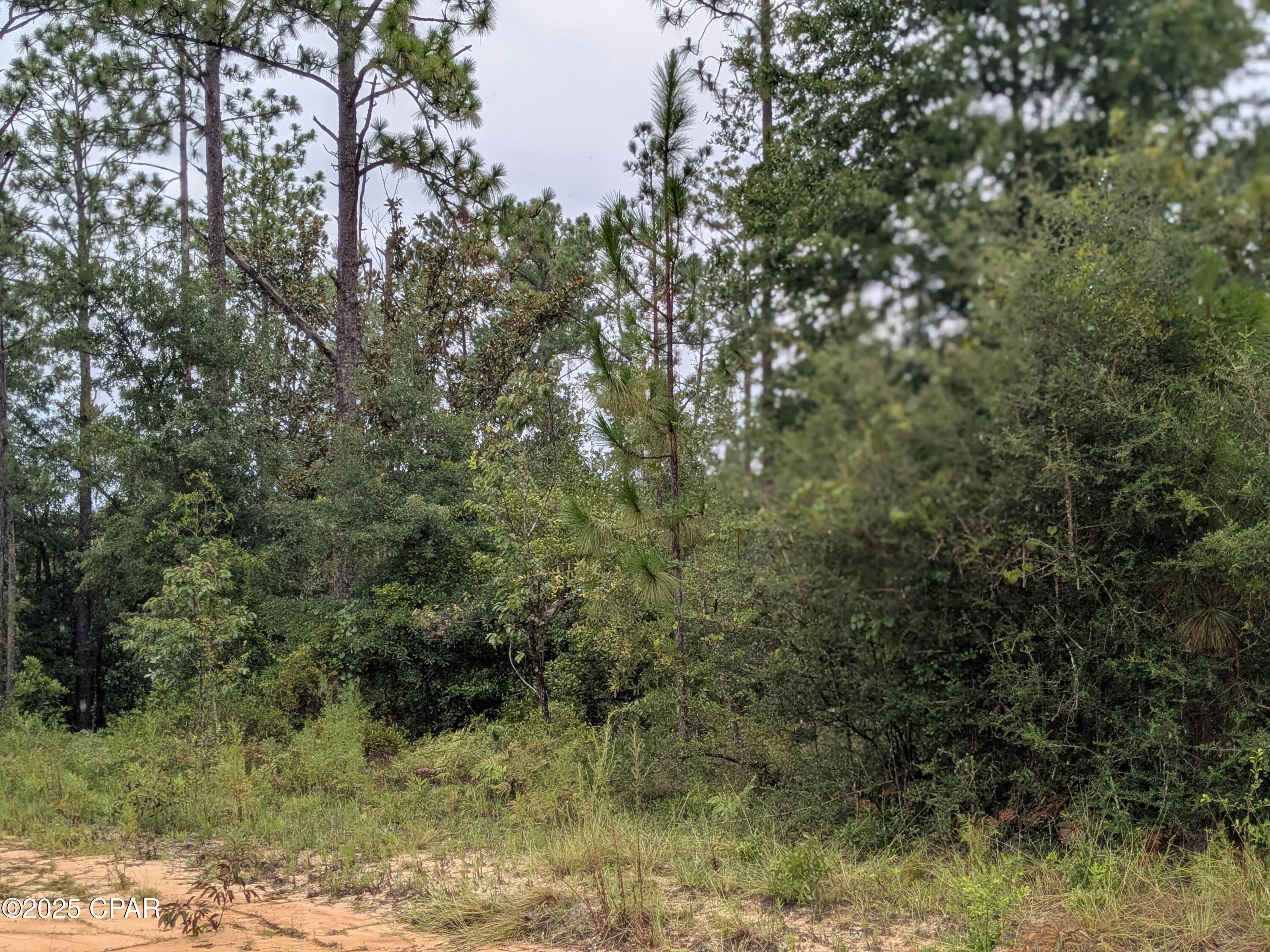 Compass Lake Hills Unit 5 - Land