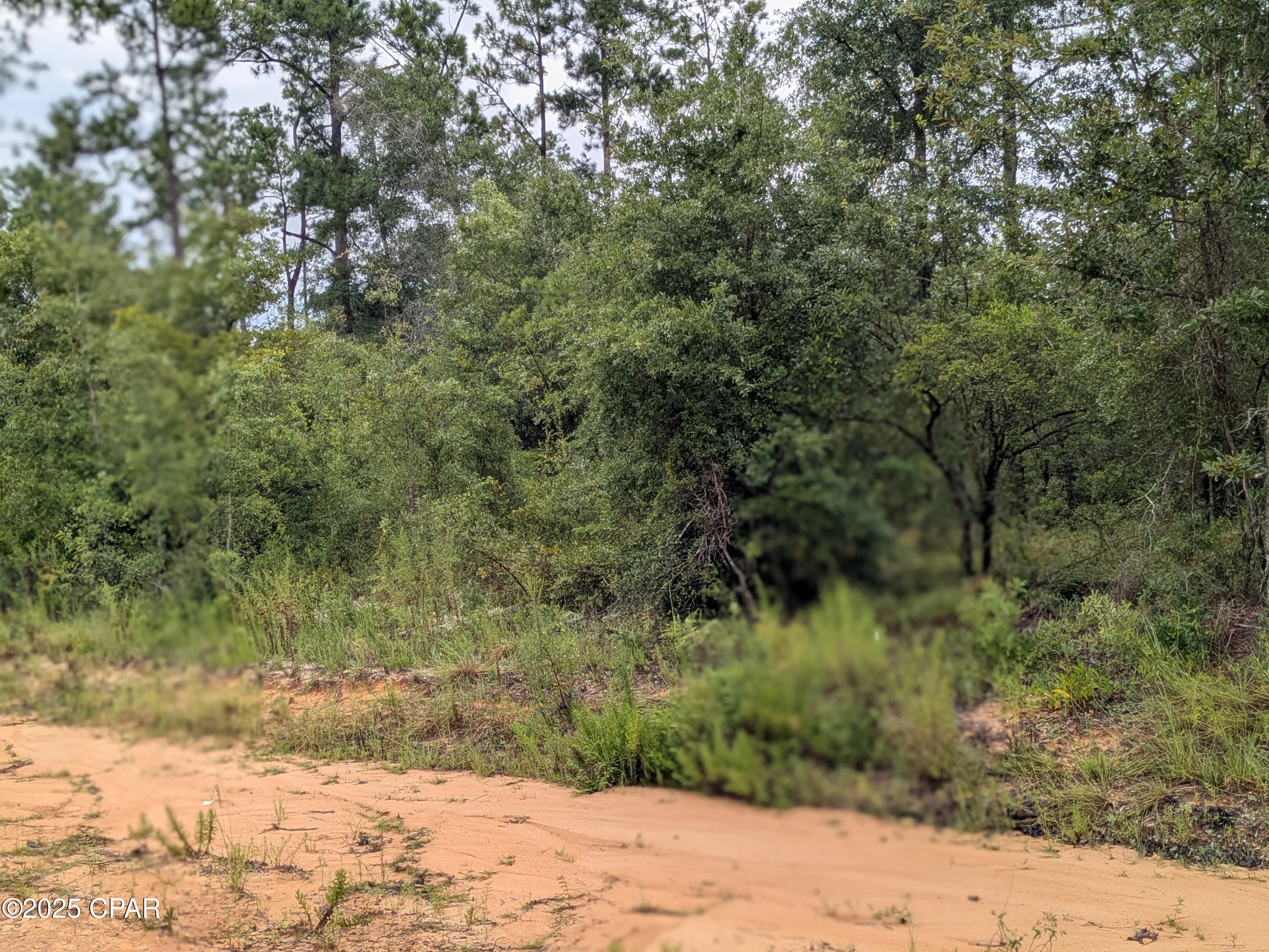 Compass Lake Hills Unit 5 - Land