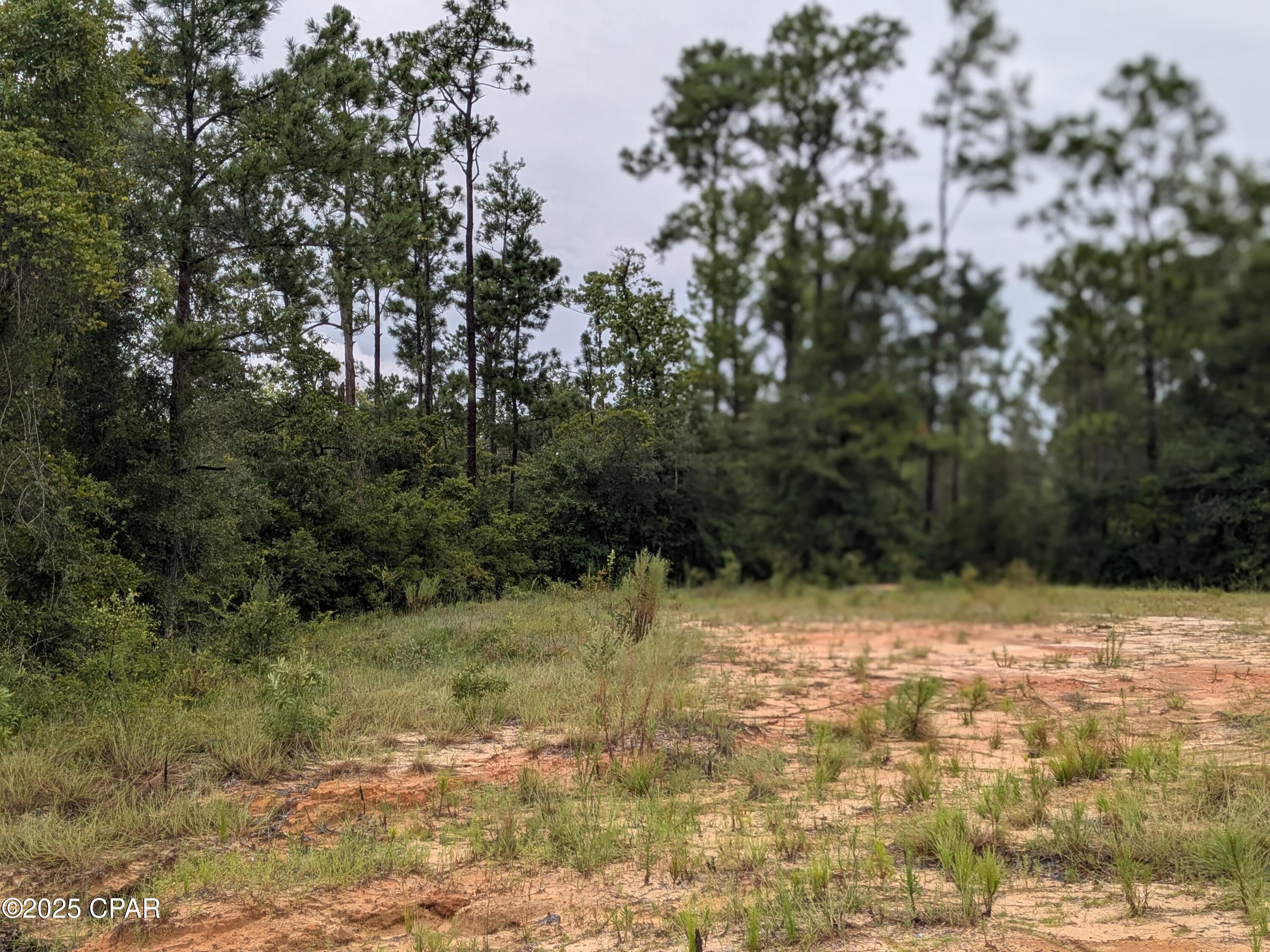 Compass Lake Hills Unit 5 - Land