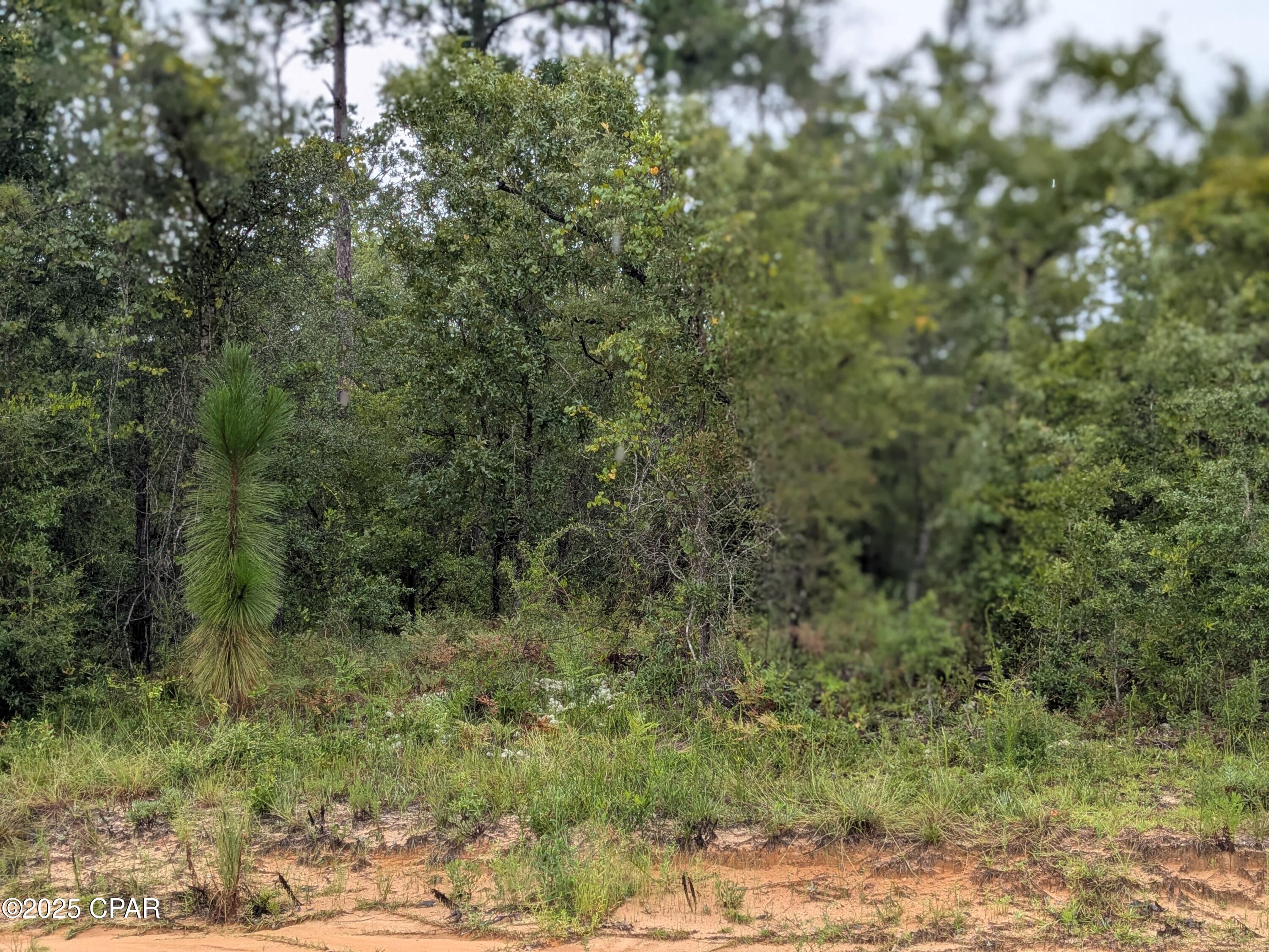 Compass Lake Hills Unit 5 - Land