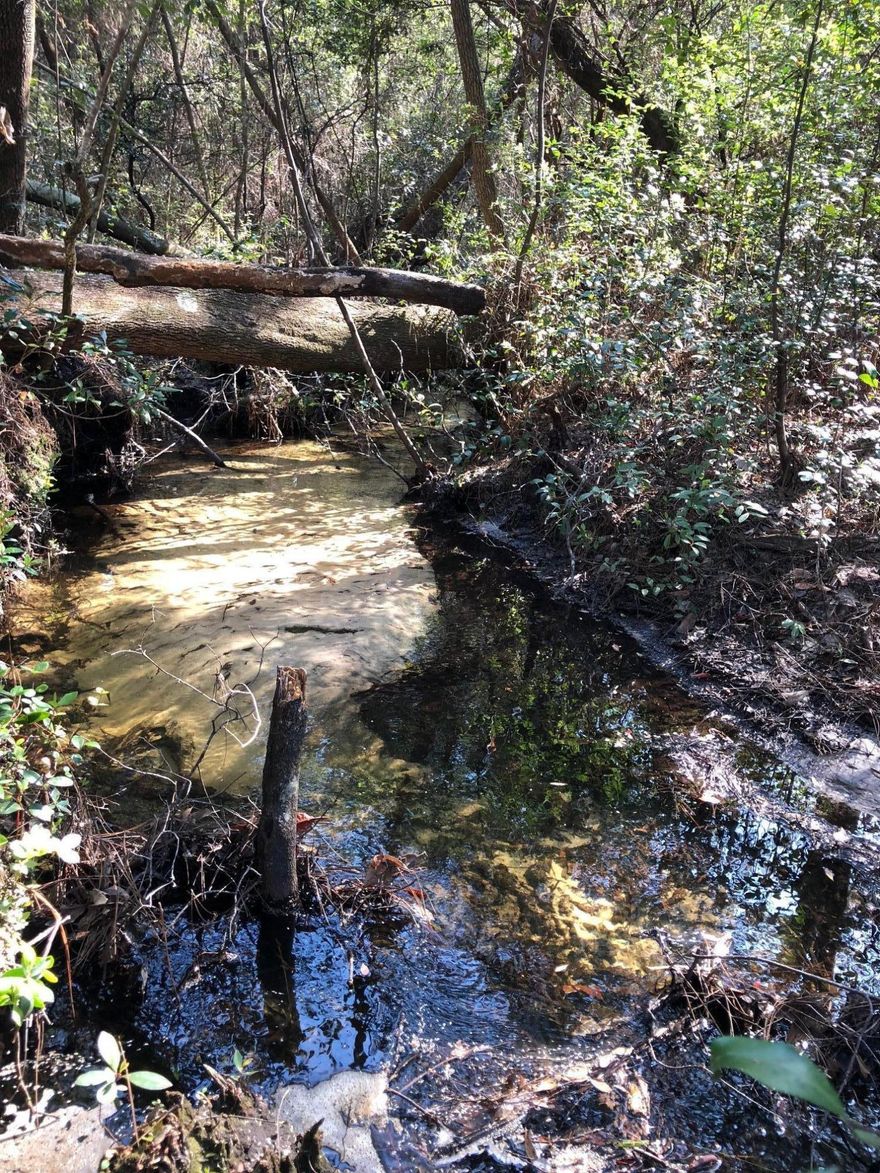 Gorgeous 10 acre parcel of property in the Buckhorn area featuring 700 ft. of a spring-fed creek running through it. The creek is roughly 2-3 ft. wide and only about a foot or so deep most of the way, but it is crystal clear! With this unrestricted land you can bring your mobile home, build a home, or purchase as an investment. It is perfect piece of land for those wanting seclusion, and the opportunities are endless. This parcel will need utilities to be a home site, but there is a home nearby to pull power from so it will not be expensive to have power on the property. It is sparsely wooded in most areas. Featuring pine trees, palmettos, and other tall trees. It does get more dense closer to the creek, but it can still be reached. Call today to make this beautiful piece of land your own!