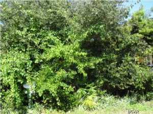 La Valencia Beach Resort - Land