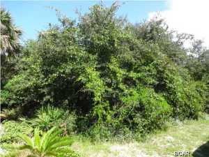 La Valencia Beach Resort - Land