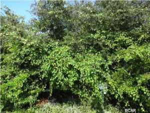 La Valencia Beach Resort - Land