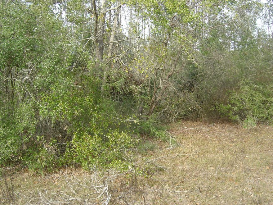 Excellent lot in CLH on a paved rd with all the amenities of CLH.