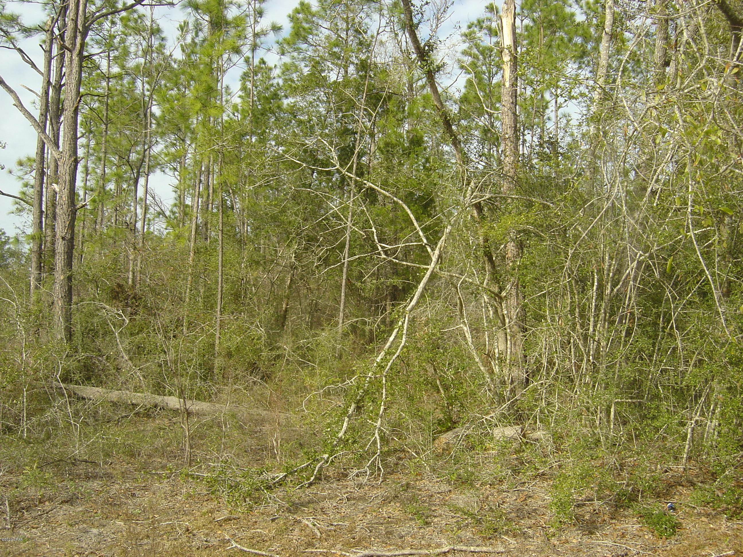 Compass Lake Hills Unit 5 - Land