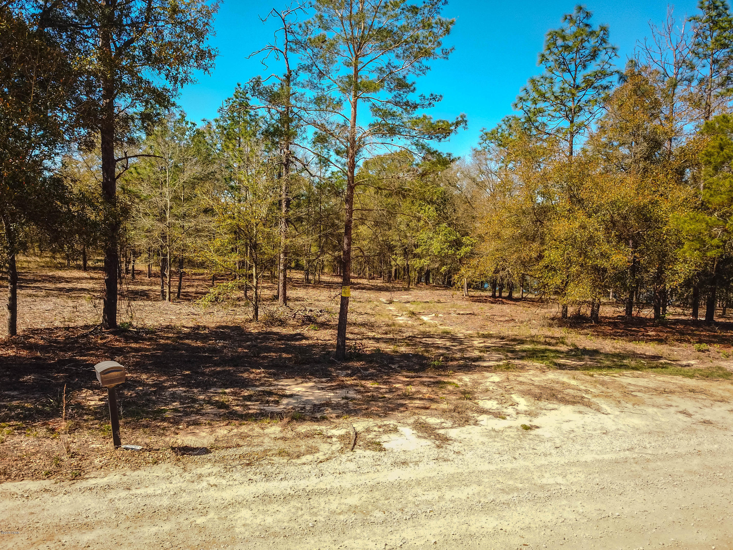 Spring Water Lake - Land