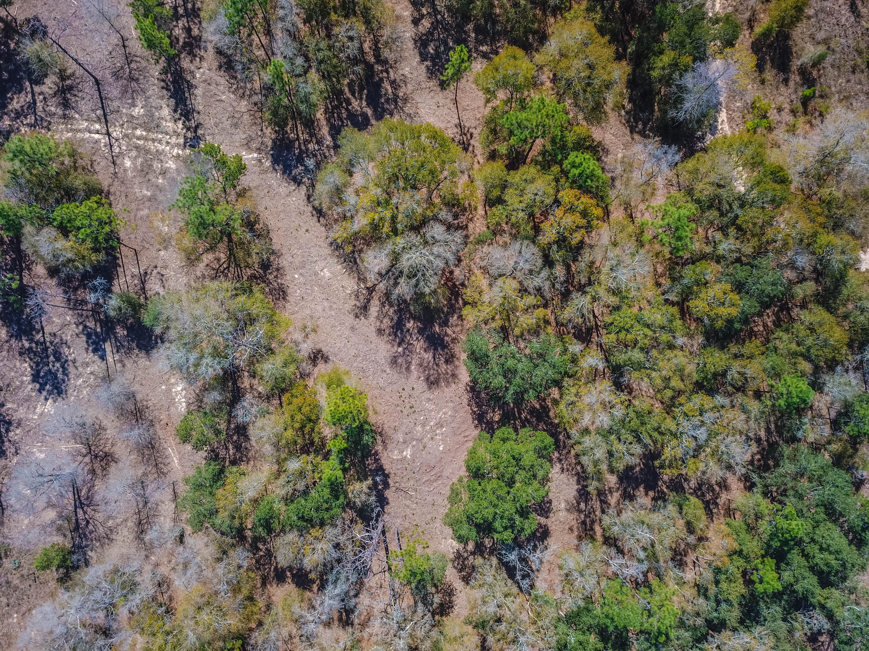 Spring Water Lake - Land