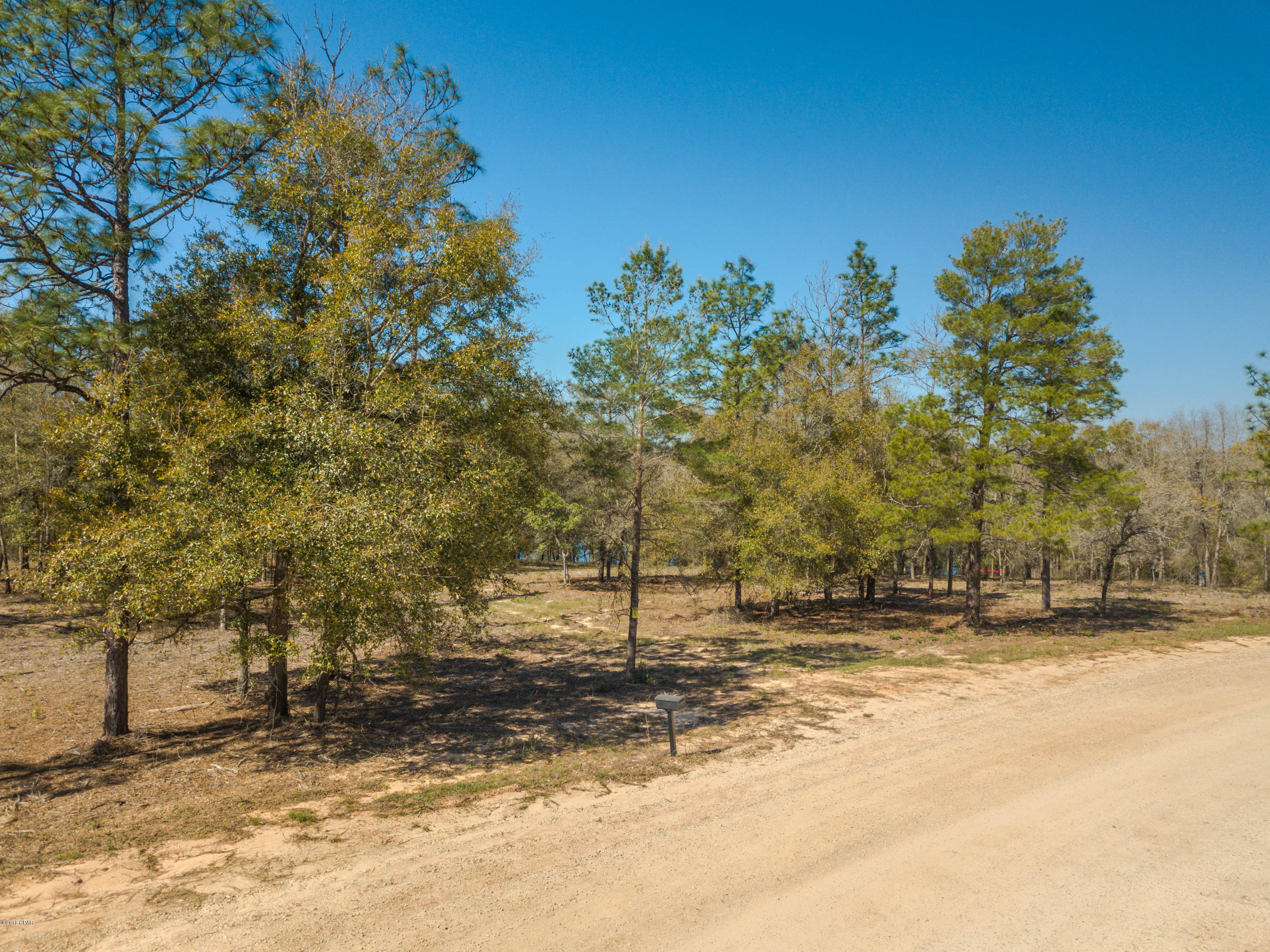 Spring Water Lake - Land