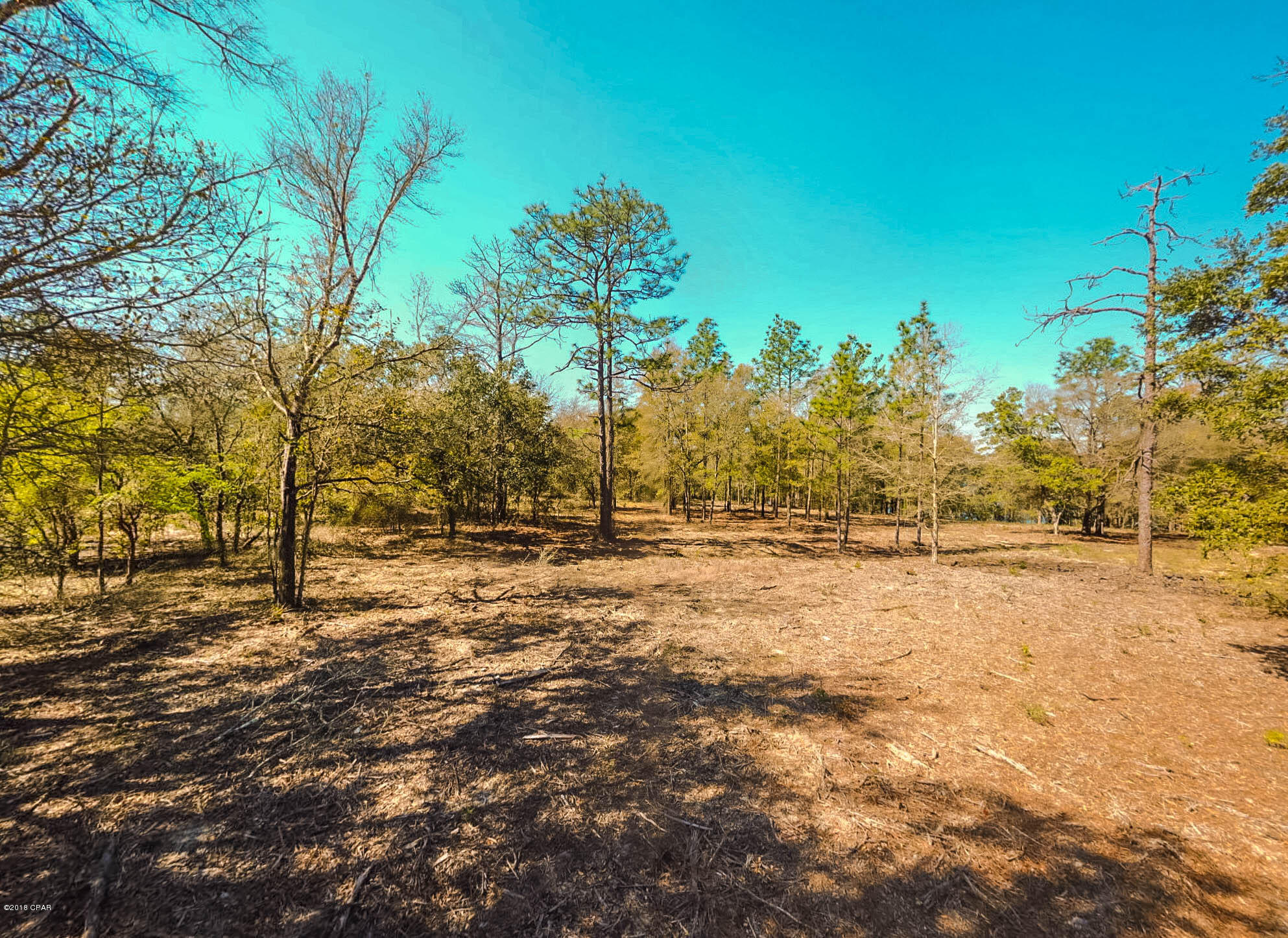 Spring Water Lake - Land