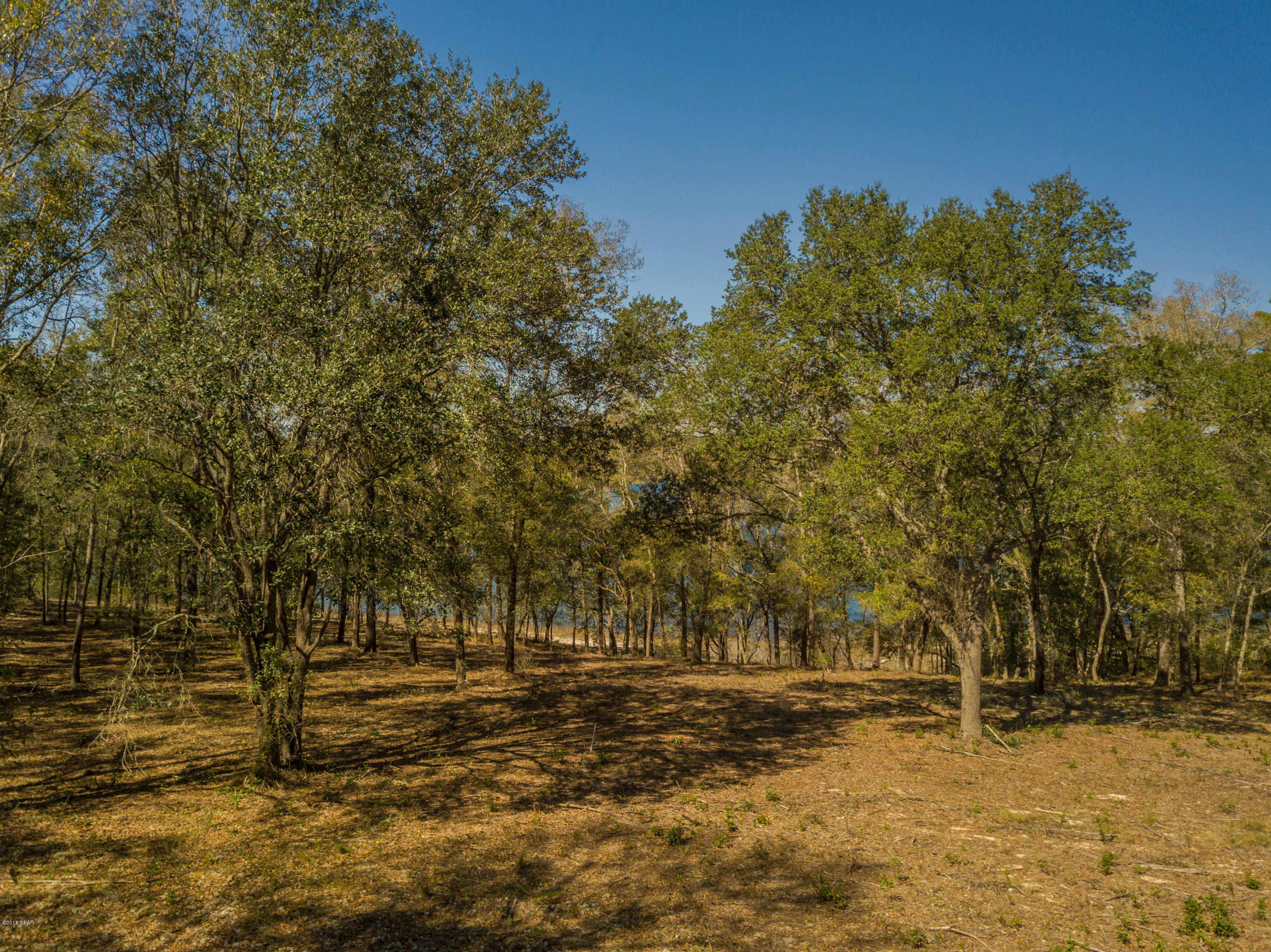 Spring Water Lake - Land
