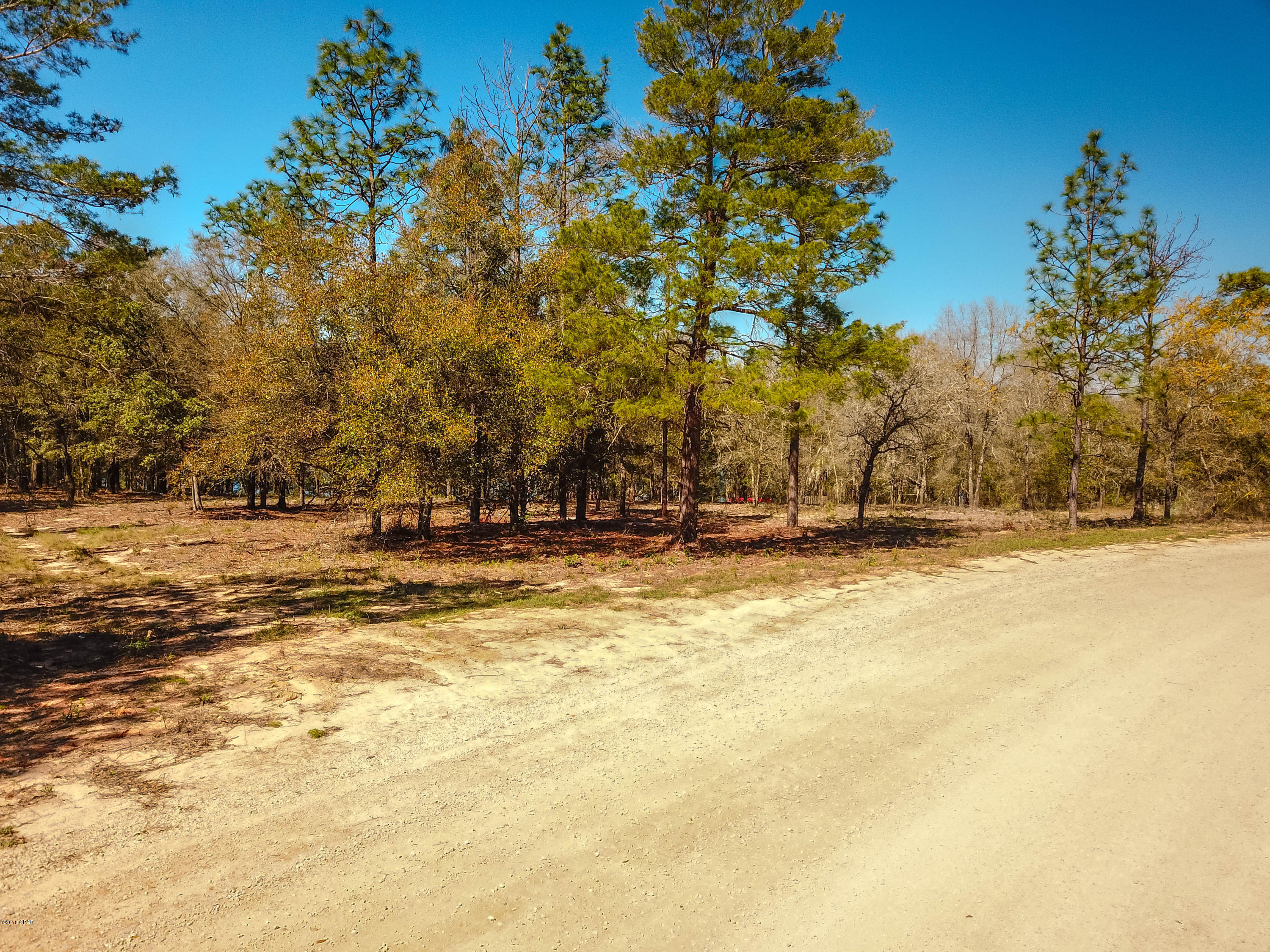 Spring Water Lake - Land
