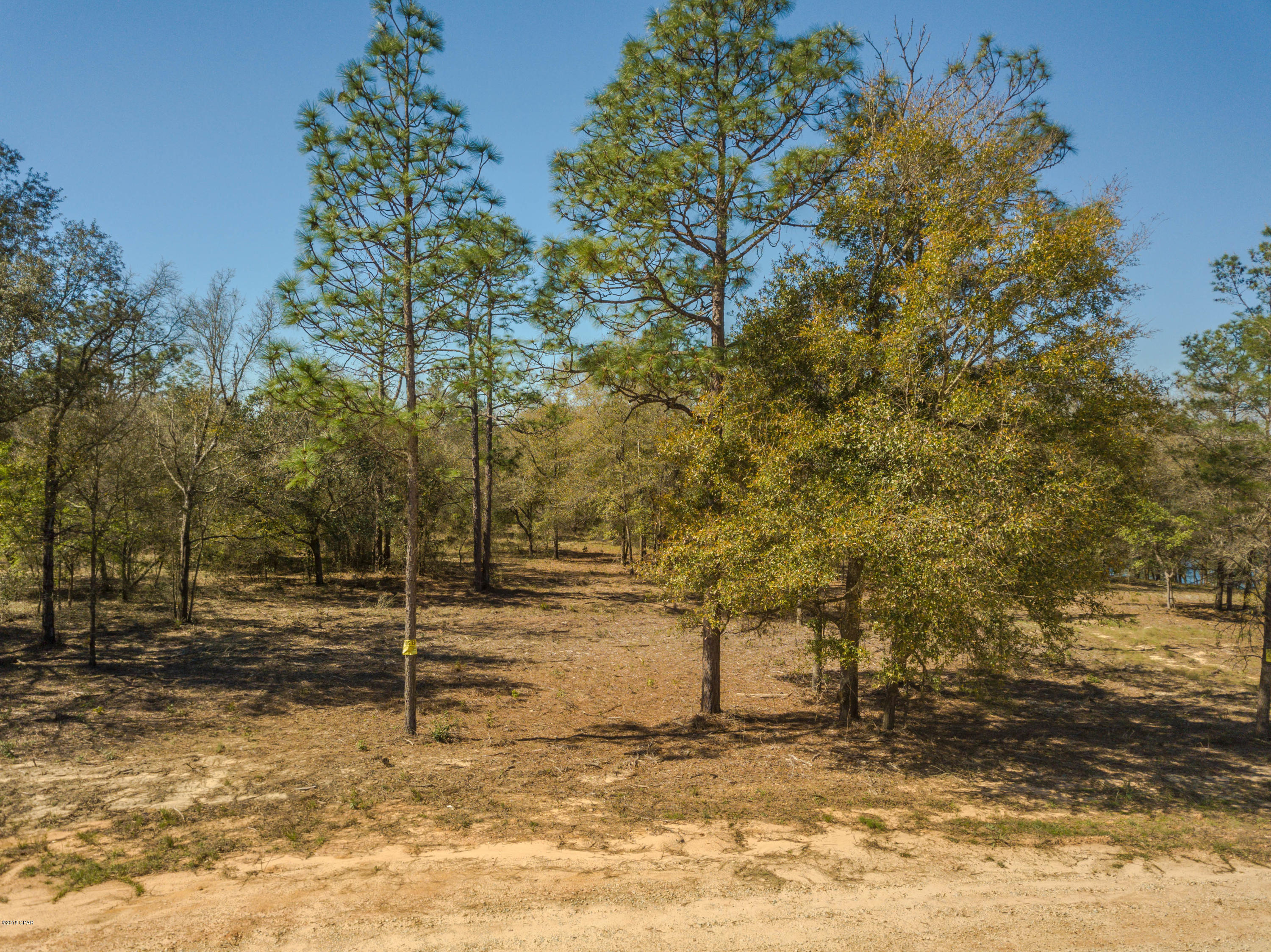 Spring Water Lake - Land