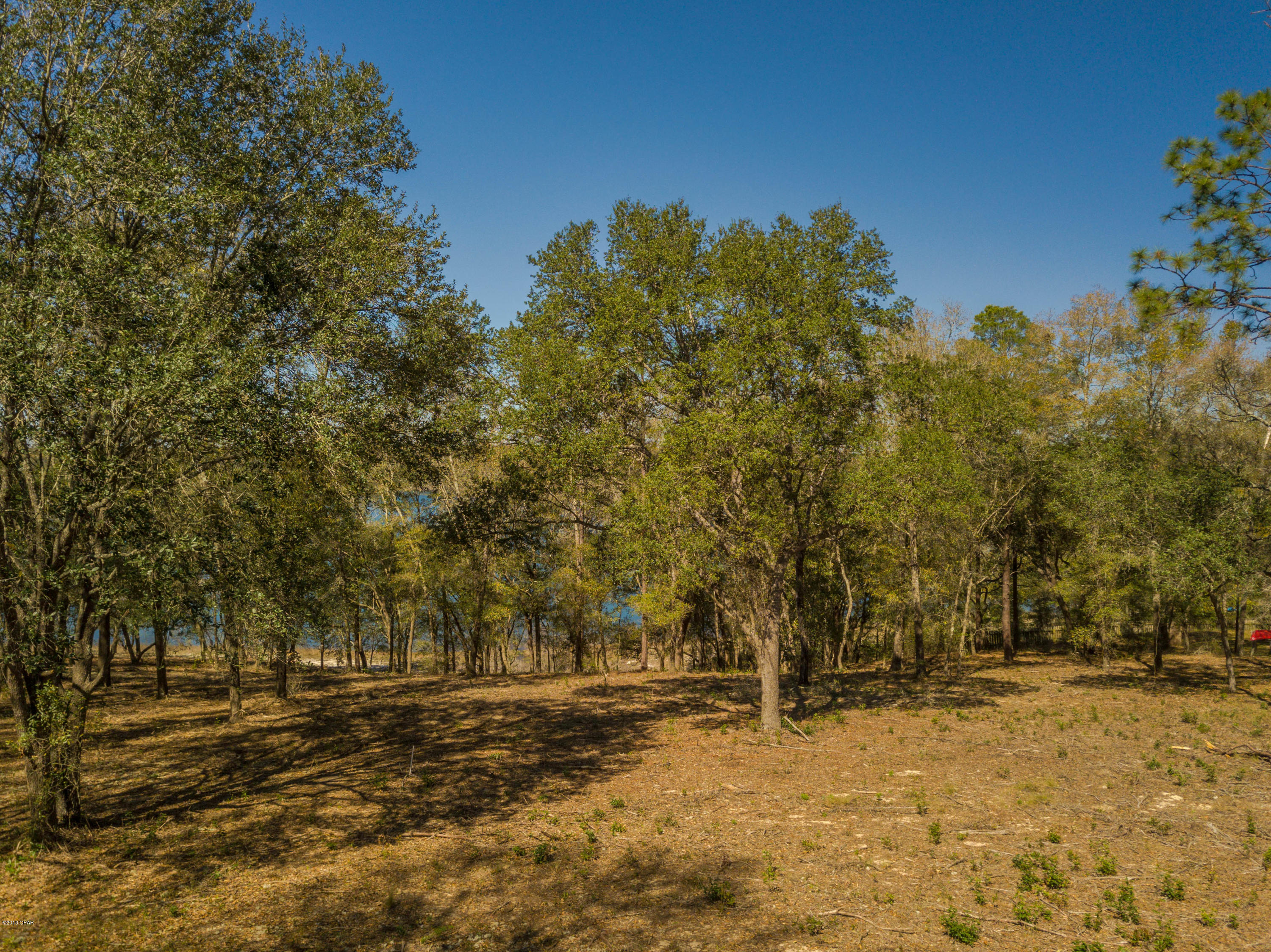 Spring Water Lake - Land