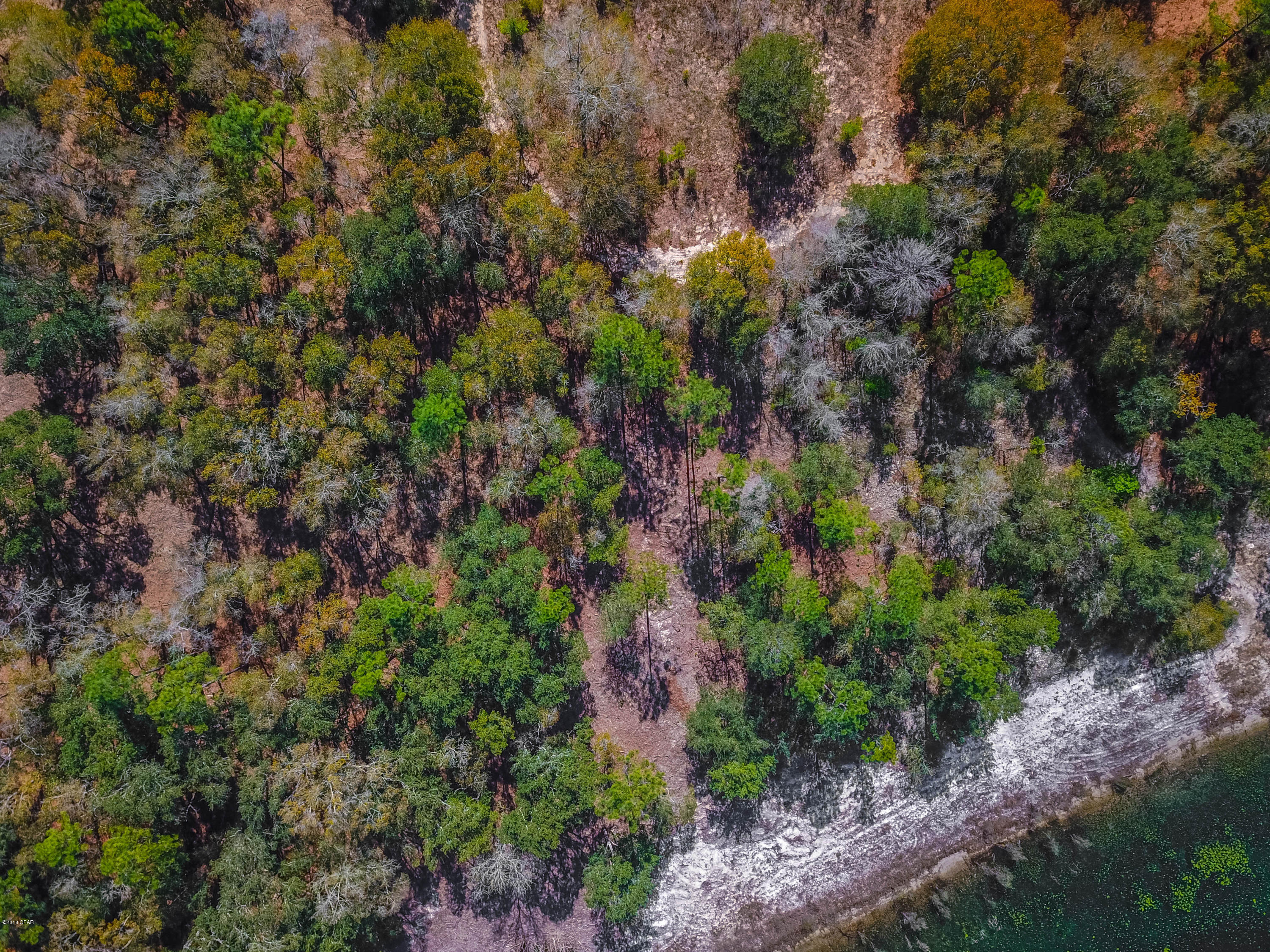 Spring Water Lake - Land