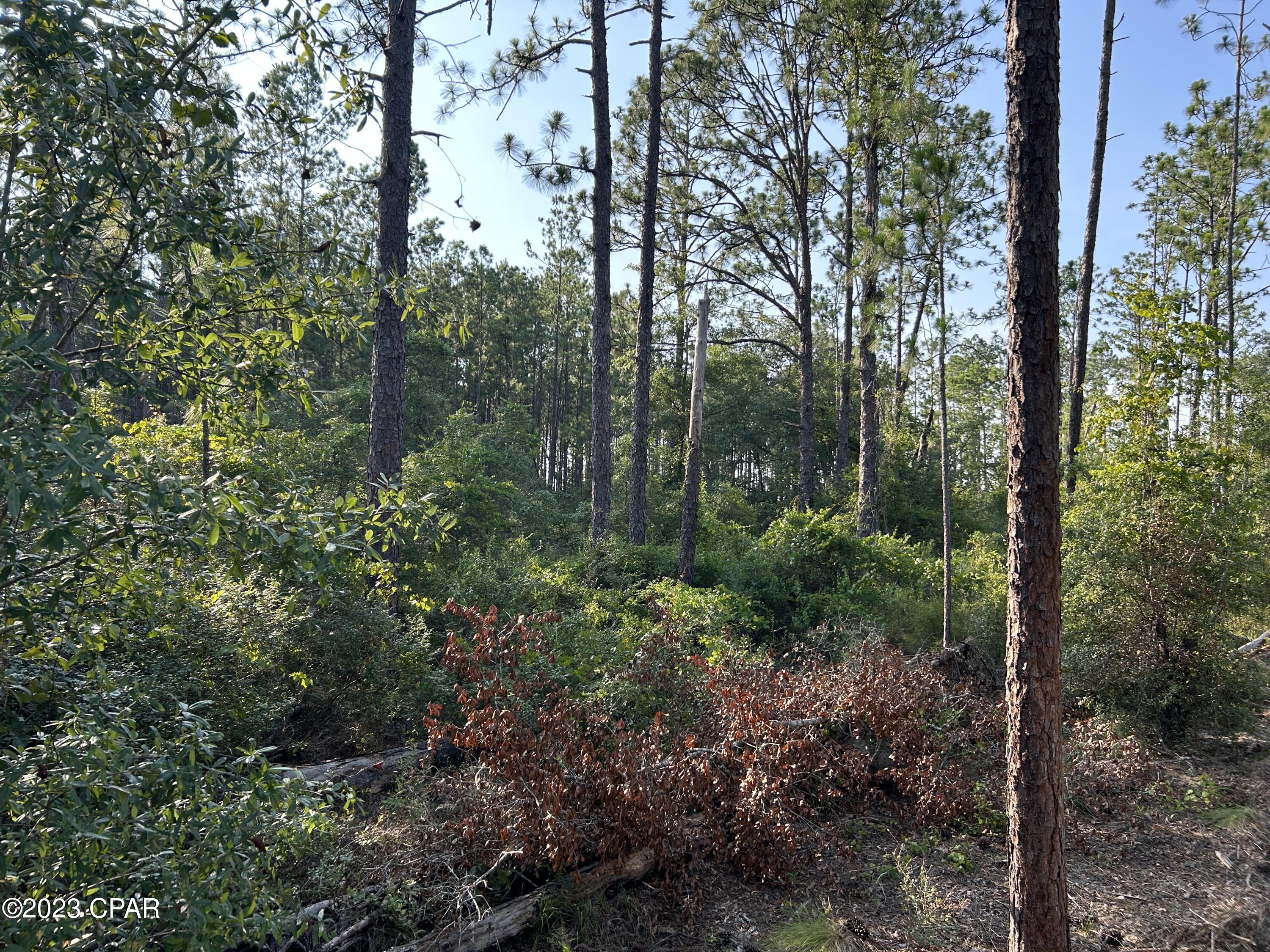 [No Recorded Subdiv] - Land