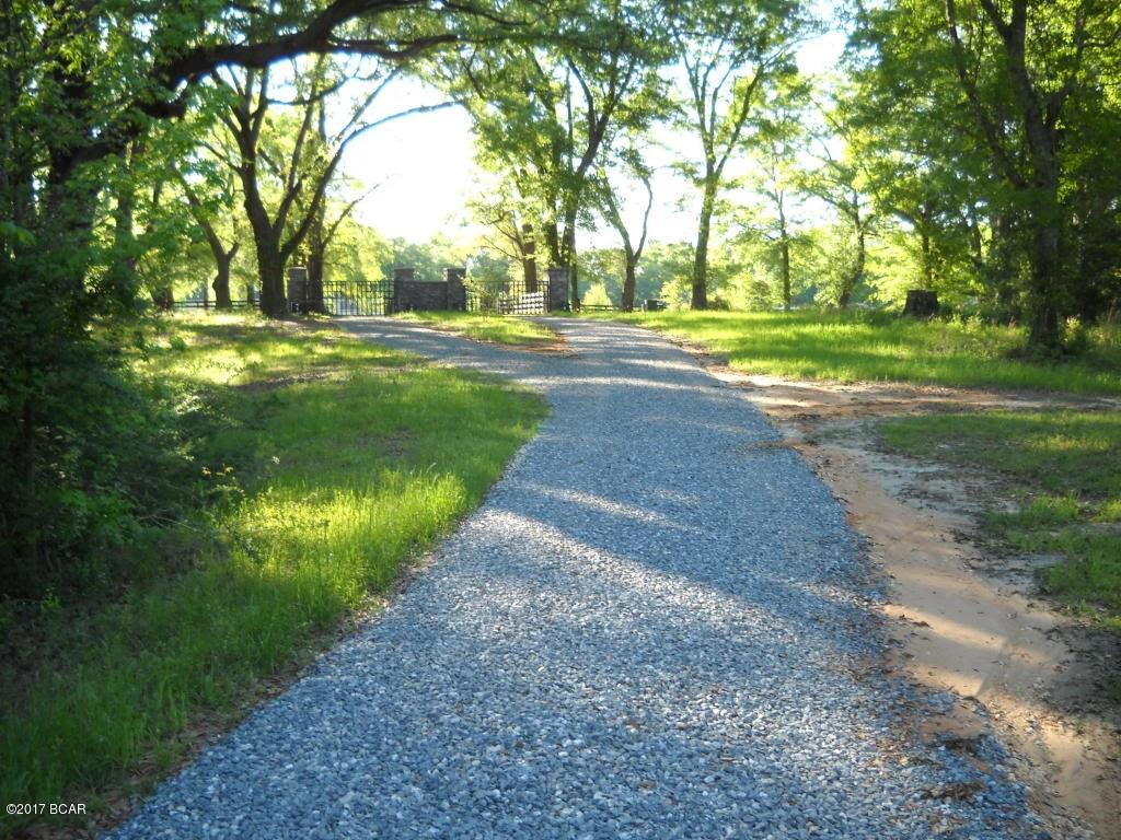Canopy Crossing - Land