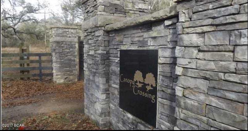 Canopy Crossing - Land