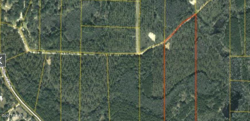 Canopy Crossing - Land