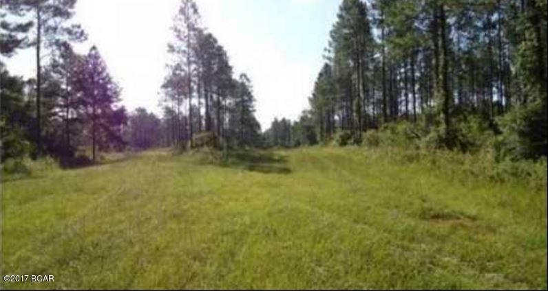 Canopy Crossing - Land