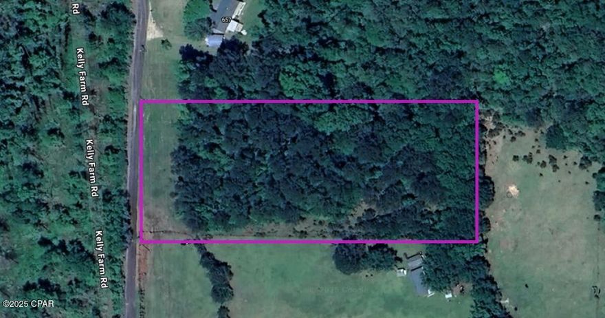 OWNER FINANCING AVAILABLE! This 3.00-acre wooded lot in Havana, FL, offers a private and peaceful retreat surrounded by natural beauty. Located just minutes from the charming downtown, you'll enjoy unique antique shops, local art galleries, and a welcoming small-town atmosphere. Outdoor lovers will appreciate the nearby Lake Talquin for fishing, boating, and hiking, all while being a short drive from Tallahassee's shopping, dining, and entertainment. Whether you're looking to build your dream home or invest in land with great potential, this property is selling below market value—making it the best deal on the market!