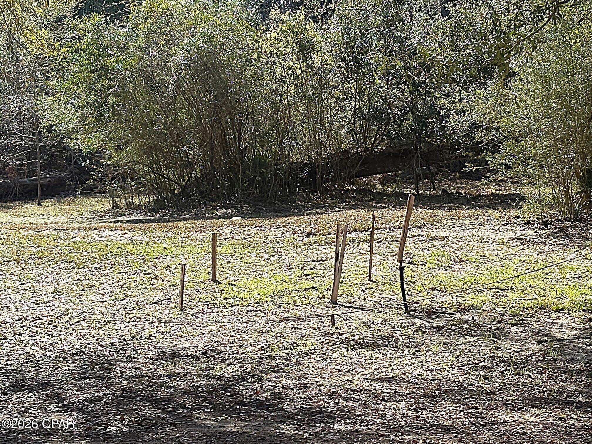 Chipola River - Residential