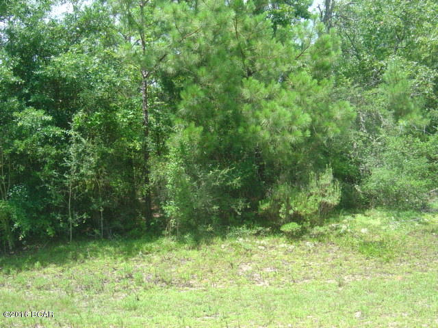 Compass Lake Hills Unit 5 - Land