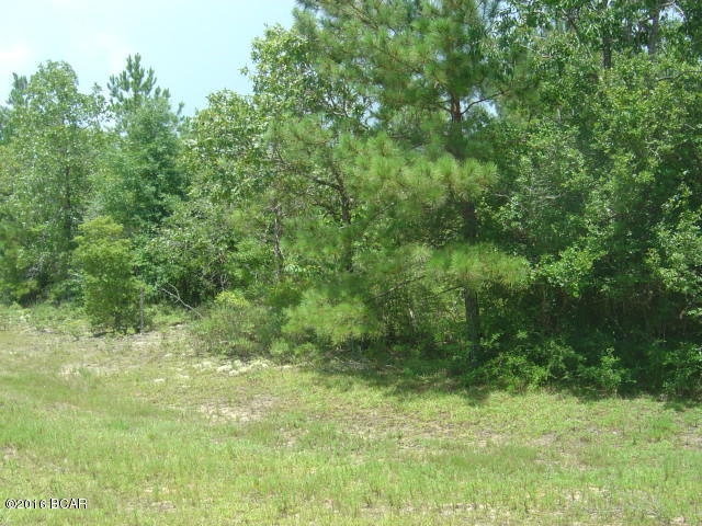 Compass Lake Hills Unit 5 - Land