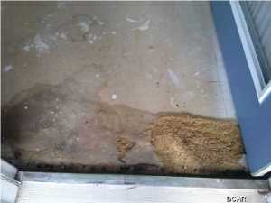 Dockside North - Residential