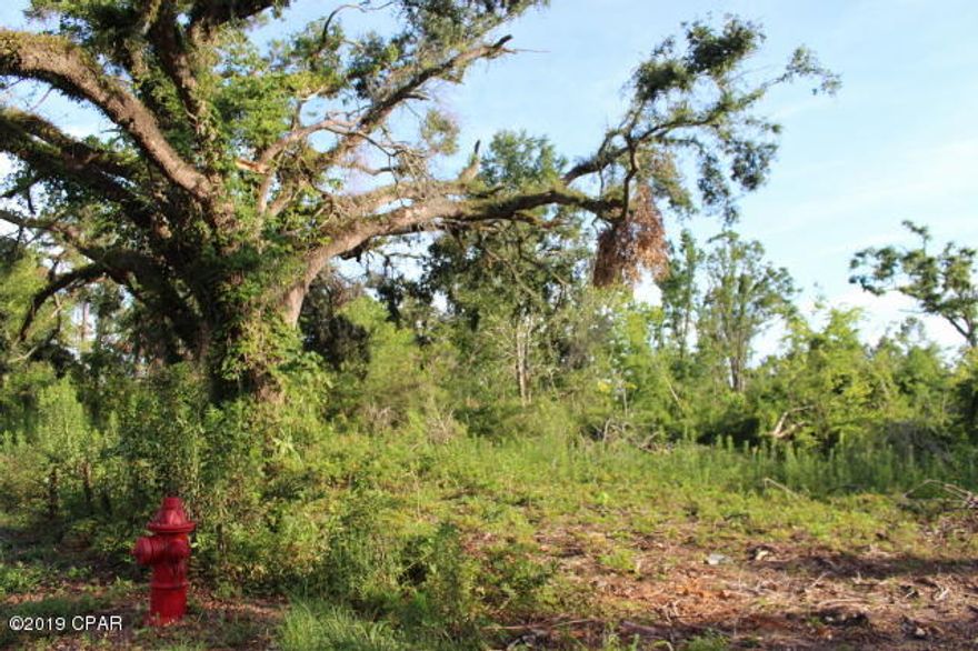 Looking to develop a business or build a home on Lafayette St in Marianna City limits?  This property is zoned Mixed use and in the Mixed use special treatment overlay and Historic special treatment area. The property  can be used  for neighborhood commercial or residential.  The residential uses include single-family, duplexes, townhomes, multi family but NO manufactured home and NO tiny home. Catty Corner to the Chamber of Commerce.  94' road frontage on Lafayette Street.  Need more land?  The adjoining 1 to 2 acres are available for sale.  See MLS listing numbers:  773800 & 773802