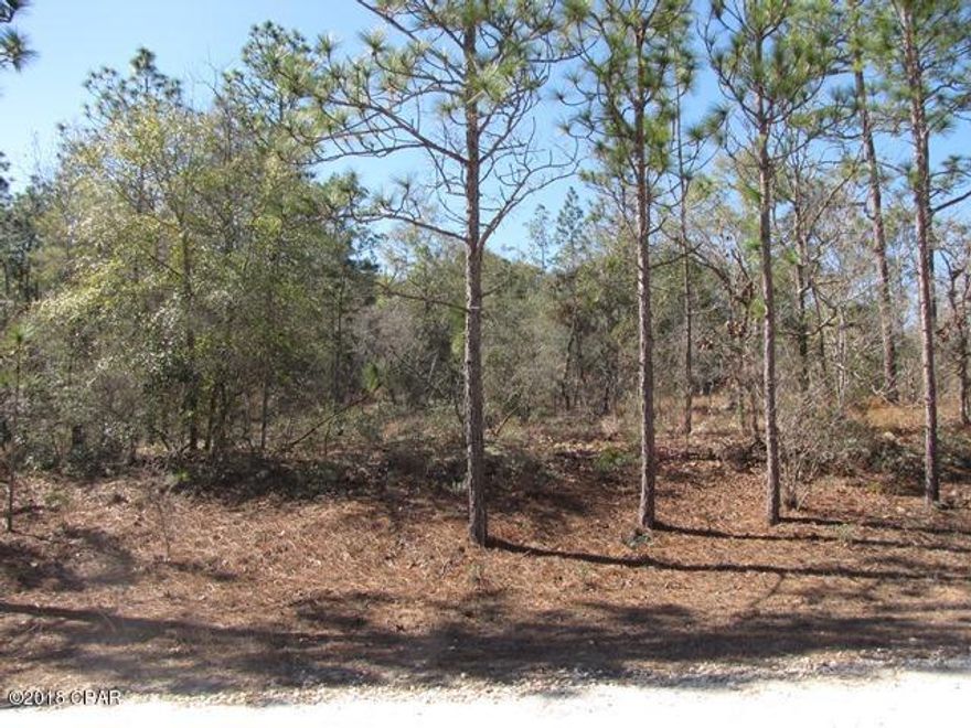 Nice High & Dry Lot of just over 1 Acre in the Compass Lake in the Hills development in NorthWest Florida. Conveniently located about 15 minutes South of Interstate 10 at Marianna and about 40 minutes North of Panama City for Shopping, Restaurants, Entertainment, and Beautiful Gulf Beaches. As an owner in this development, you have access to Private McCormick Lake for Swimming, Fishing, Canoeing, Kayaking, etc, as well as the Main Lodge over on Compass Lake with Swimming Pool, Tennis Courts, Horseback Riding, etc. Site Built or Modular Homes only, no Mobile Homes in this section of the development. Come enjoy the Quiet, Peaceful Lifestyle at Compass Lake in the Hills today.