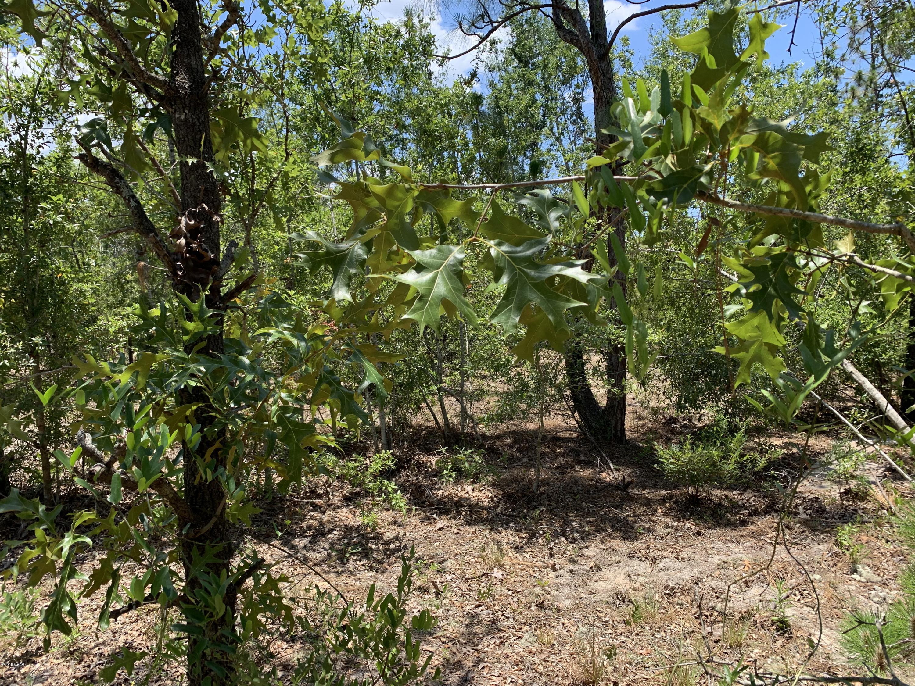 [No Recorded Subdiv] - Land