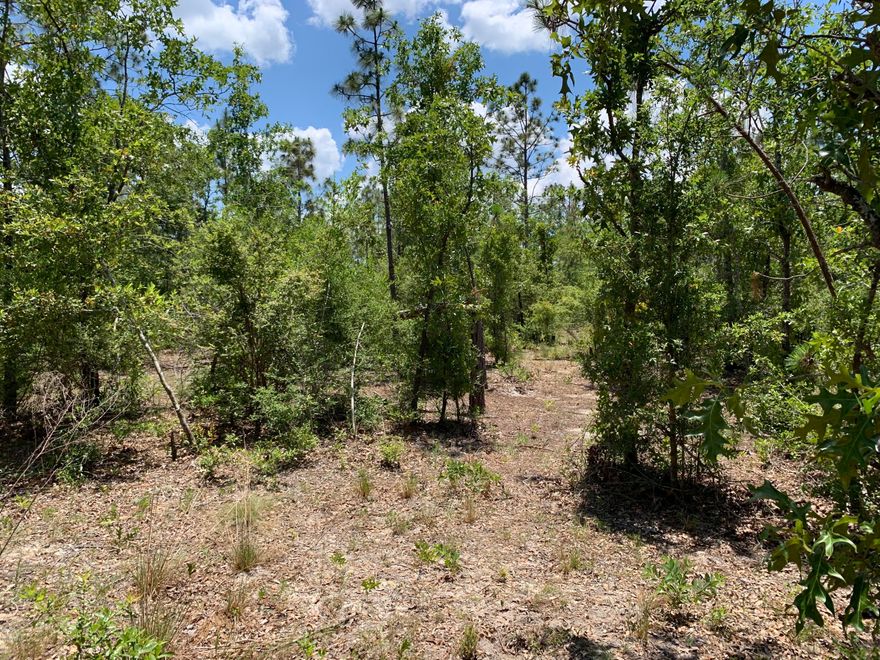 1+ acres of country living!  This lot is zoned R-2 so mobile home friendly. All high and dry. Sparsely wooded so will be easy to clear. Located only 20 minutes from the world's most beautiful beaches! This lot is perfect for a land/home package.