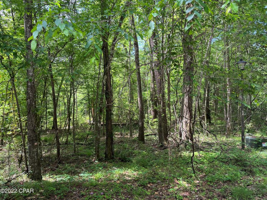 Rare opportunity to own a large lot in desirable Reston subdivision in Gadsden County. This 2.3+ acre lot is on a quiet cul-de-sac, with lots of beautiful trees. The Tallavana Homeowner's Association owns the lot directly behind this lot, which is very close to Lake Tallavana. Check out the Reston neighborhood's website for more information about this hidden gem!