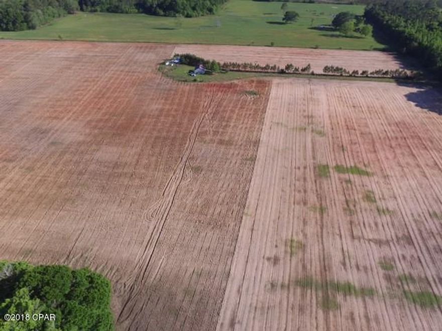 Great farmland with building that could be rehabbed for small residence.  Nice mix of farmland and trees with small pond.